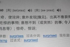 synchronize翻译成英语