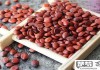 酸枣仁粉怎么吃治失眠？科学食用方法与搭配建议