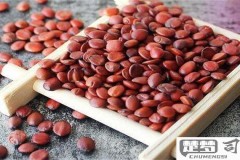 酸枣仁粉怎么吃治失眠？科学食用方法与搭配建议