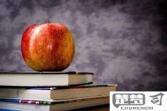 该怎么去形容你最贴切：深度思考与实用主义的完美结合