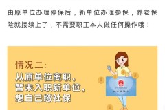 辞职不干了社保怎么办？完整处理指南与转移流程
