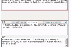 professional 中文翻译