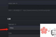 Steam怎么改地区?详细步骤与注意事项