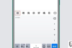 苹果手机怎么切换手写输入法？详细步骤与技巧
