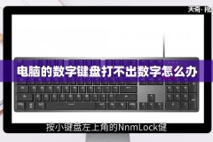 电脑的数字键盘打不出数字怎么办