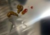 狗狗便血是怎么回事？可能的原因及紧急处理方法