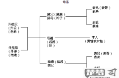 亲家的父母怎么称呼？中国传统与现代称呼礼仪全解析
