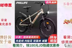 菲利普自行车怎么样？质量、价格及与其他品牌对比