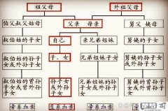 舅公的老婆怎么称呼？中国传统亲属称谓详解