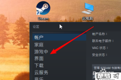 steam启动一下就关闭了