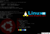 linux查看软件版本