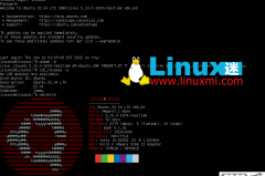 linux查看软件版本