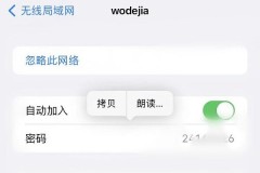 苹果12看不到wifi密码了