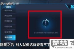 隐藏亲密关系打游戏会显示吗