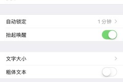 苹果手机屏幕放大恢复不了