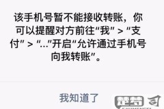 刚加的微信好友为什么不能转账
