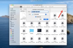 隐藏的文件夹怎么找到？Windows和Mac系统全攻略