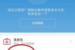 支付宝怎么设置密码?详细步骤与安全建议