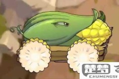 玉米加农炮需要什么合成