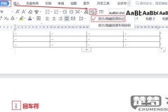 word表格下面的空白页删不掉