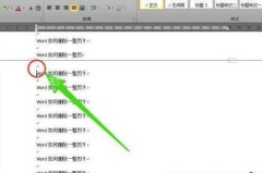 word文档怎样取消自动删字