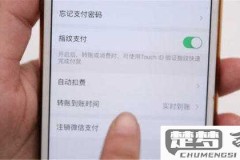 微信怎么取消自动扣费？详细步骤教你轻松关闭