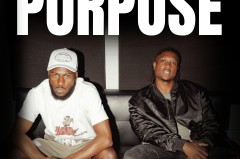 purpose的固定搭配
