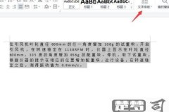 正文各段落首行缩进2个字符