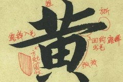 黄的笔画顺序怎么写？详细步骤与常见错误解析
