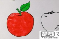 苹果怎么画简单又好看？初学者必备步骤与技巧
