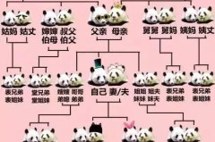妈妈的弟弟怎么称呼？中文亲属称谓全解析