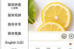 苹果手机输入法在哪里设置