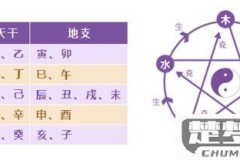 怎么看自己是什么命?八字算命、五行属性查询与生肖命理分析全指南