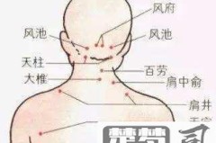 天柱和风池怎么区分？中医穴位定位与功能全解析