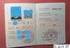 游泳救生员证怎么考？报名条件、考试内容及有效期全解析