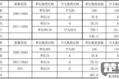 社保怎么查询缴费记录?线上和线下查询方法全解析
