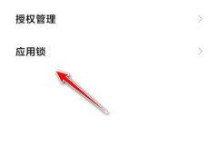 怎么给应用设置密码?详细步骤与解决方案