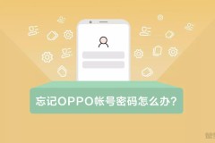 oppo手机账号密码在哪里找