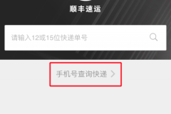 顺丰快递手机号查询官网