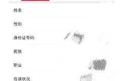 怎么查自己是不是团员?详细步骤和所需材料一览