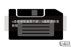 u盘数据丢失怎么恢复？详细步骤与专业软件推荐