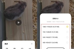 手机上怎么压缩视频?快速高效的方法全在这里