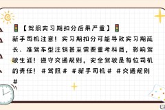 实习期扣6分会怎么样？影响及应对措施全解析