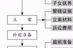 对方提出离婚怎么处理？理性应对策略与法律程序全解析