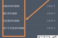 电话呼叫转移怎么设置?详细步骤与常见问题解答