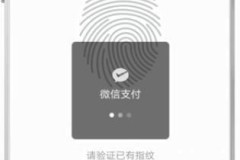 微信怎么开指纹支付?详细步骤与常见问题解答