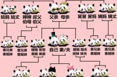 朋友的儿子怎么称呼？在不同场合下的正式与礼貌称呼指南