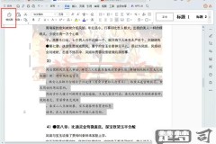 wps格式刷怎么用?详细步骤与技巧全解析