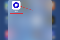 如何在夸克中打开torrent