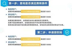 联通携号转网怎么办理?详细步骤与注意事项